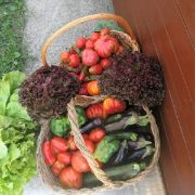 cesta con verdura